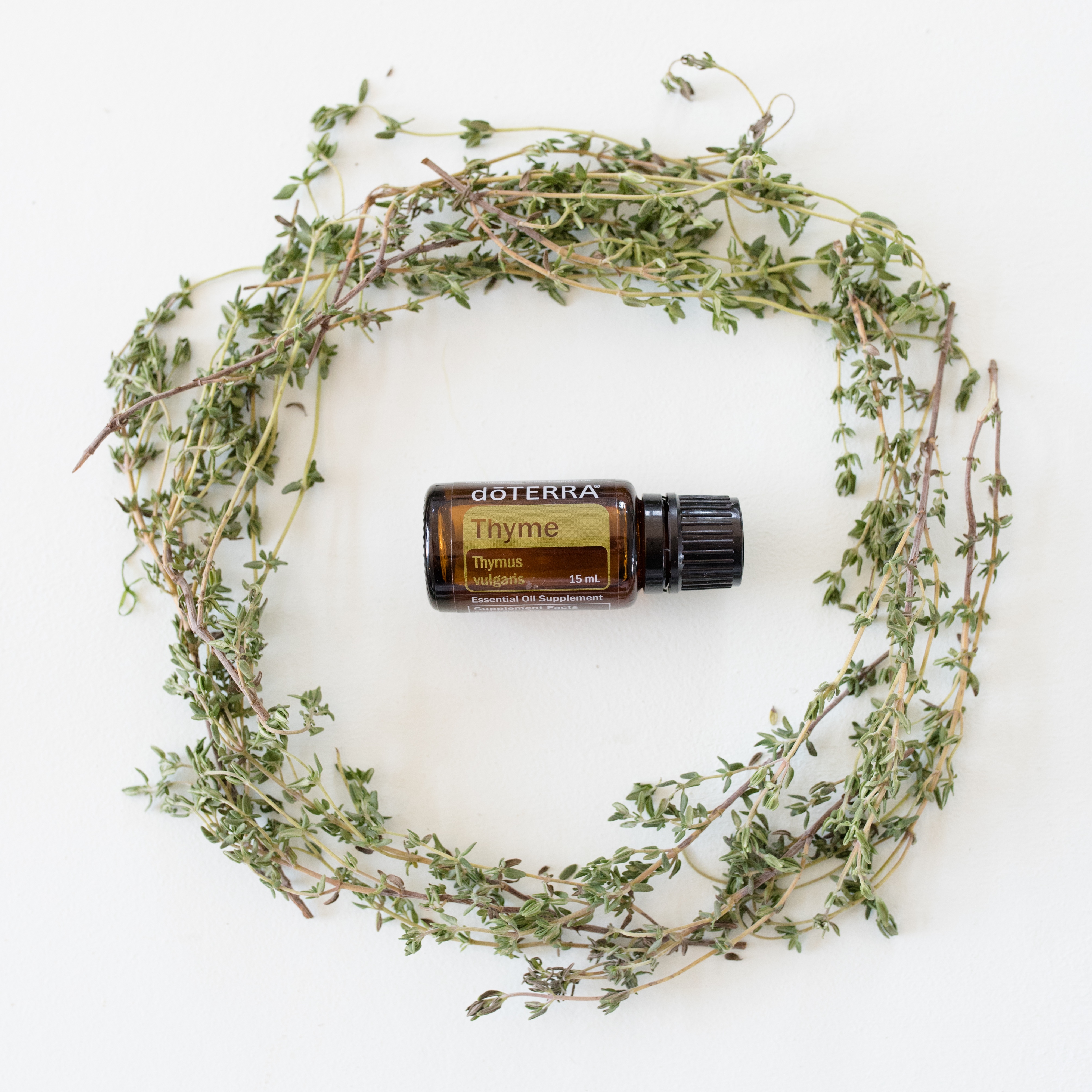 Thyme.jpg